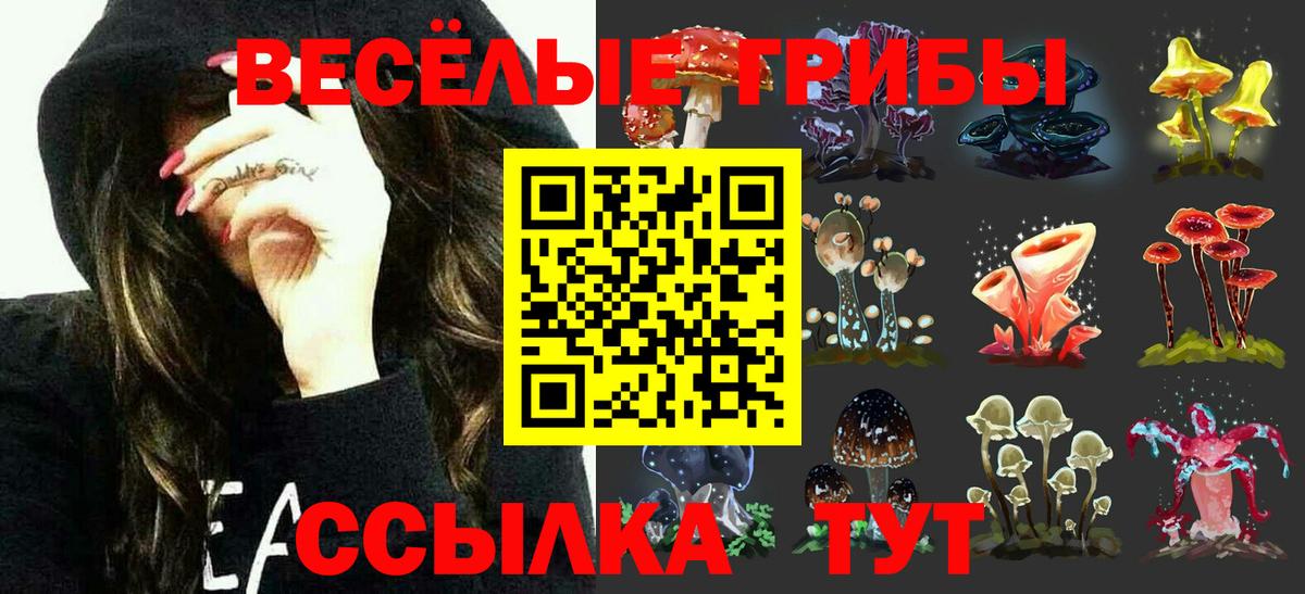 Псилоцибиновые грибы GOLDEN TEACHER Качканар